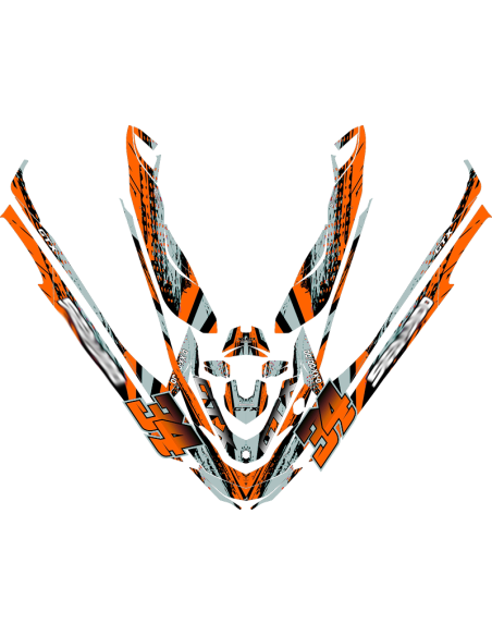 Kit adhesivos Seadoo GTX 2GEN - STROKE PAINT