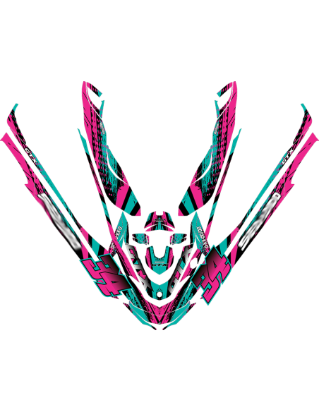 Kit adhesivos Seadoo GTX 2GEN - STROKE PAINT