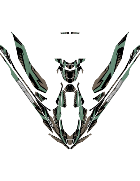 Kit adhesivos Seadoo GTX 3GEN - TRAMBOLIK