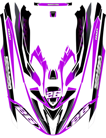 Kit adhesivos Seadoo RXP 1GEN - RACING V2