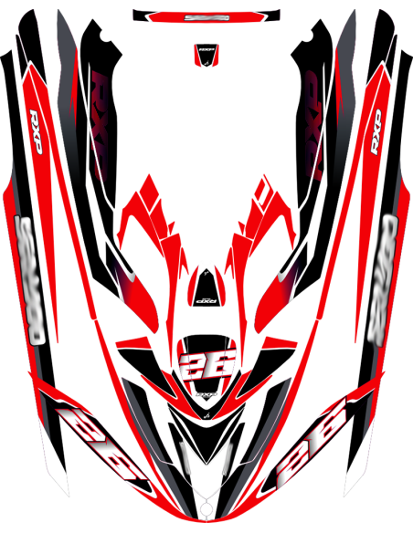 Kit adhesivos Seadoo RXP 1GEN - RACING V2
