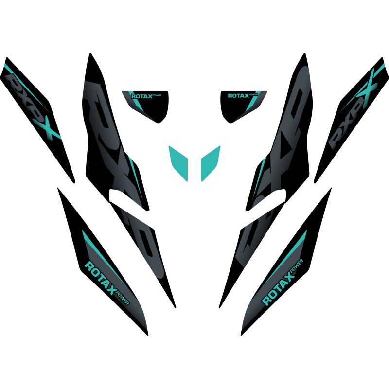 Kit adhesivos Seadoo RXP 3GEN - MINI KIT