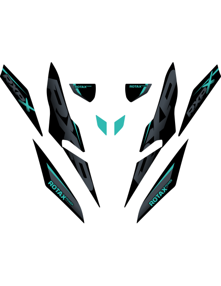 Kit adhesivos Seadoo RXP 3GEN - MINI KIT