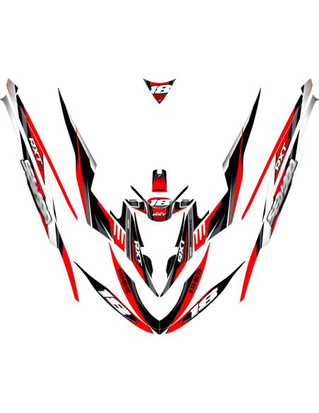 Kit adhesivos Seadoo RXT 1GEN - RACING V1