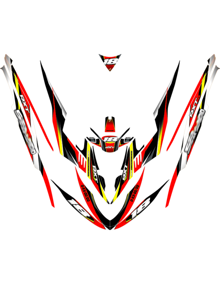 Kit adhesivos Seadoo RXT 1GEN - RACING V1