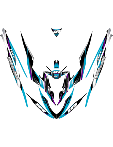 Kit adhesivos Seadoo RXT 1GEN - RACING V1