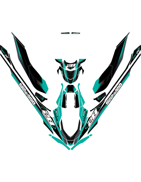 Kit adhesivos Seadoo RXT 3GEN - RACING V1 CARBON