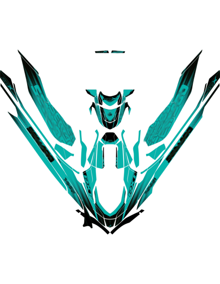 Kit adhesivos Seadoo RXT 3GEN - VELOCITY VIBE