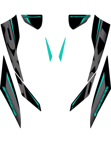 Kit adhesivos Seadoo RXT 3GEN - MINI KIT
