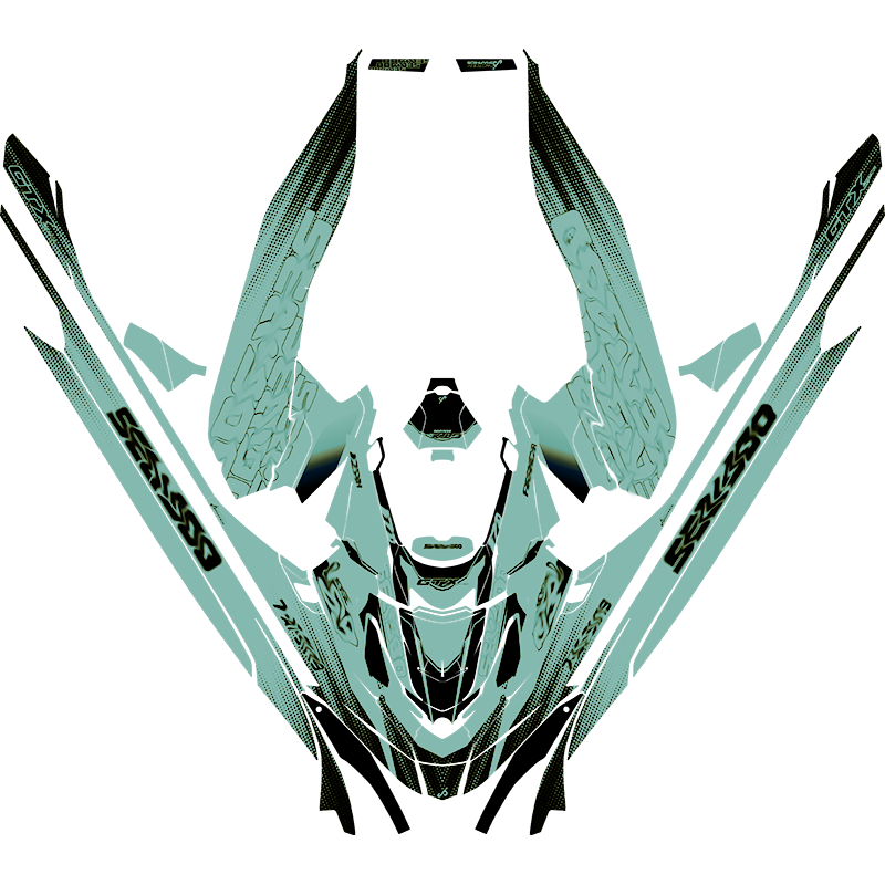 Kit adhesivos Seadoo GTX 3GEN - VELOCITY VIBE