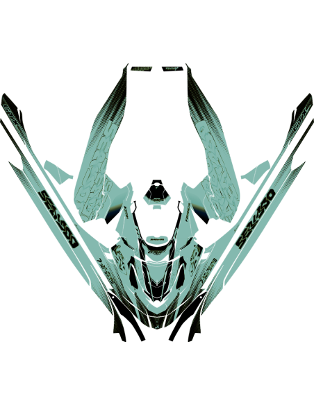 Kit adhesivos Seadoo GTX 3GEN - VELOCITY VIBE