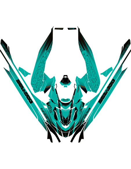 Kit adhesivos Seadoo GTX 3GEN - VELOCITY VIBE