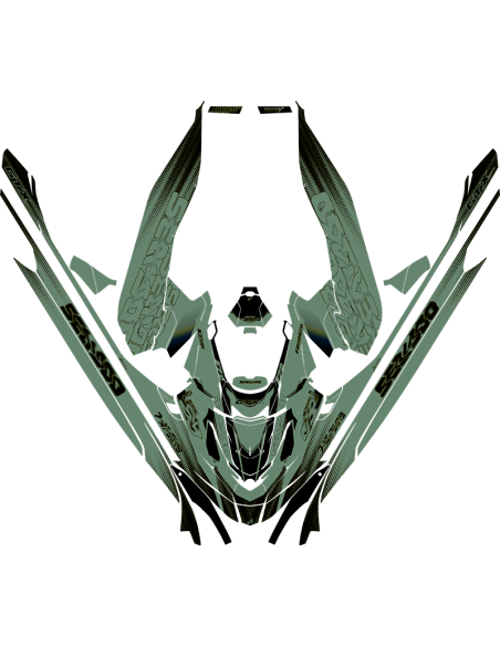 Kit adhesivos Seadoo GTX 3GEN - VELOCITY VIBE