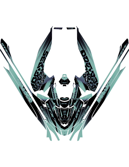 Kit adhesivos Seadoo GTX 3GEN - VELOCITY VIBE V2